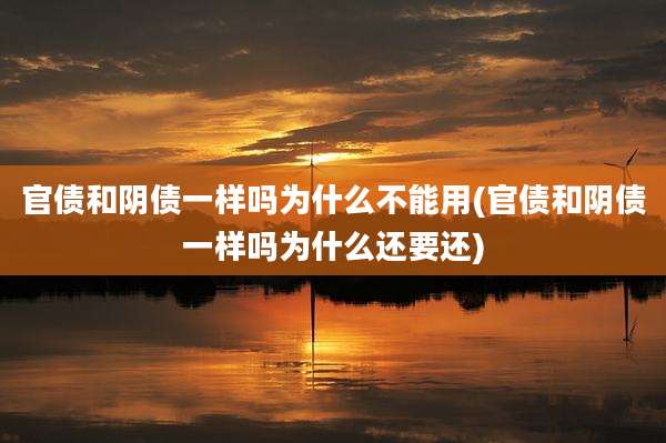 官债和阴债一样吗为什么不能用(官债和阴债一样吗为什么还要还)