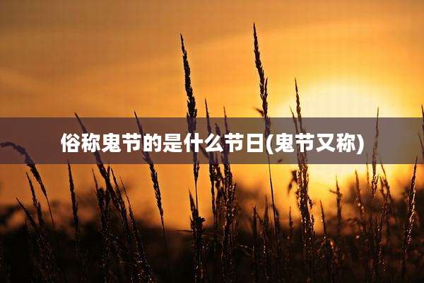 俗称鬼节的是什么节日(鬼节又称)