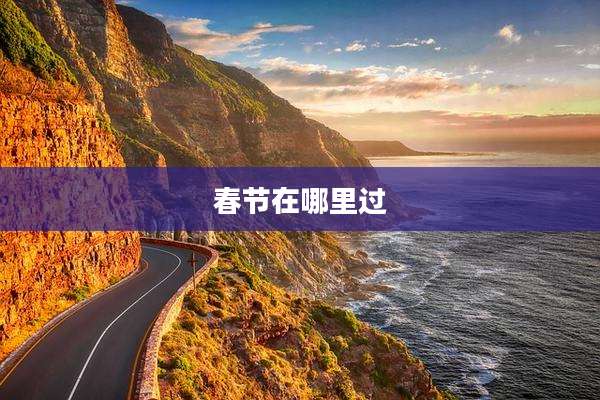 春节在哪里过
