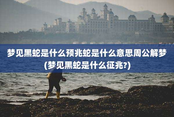 梦见黑蛇是什么预兆蛇是什么意思周公解梦(梦见黑蛇是什么征兆?)