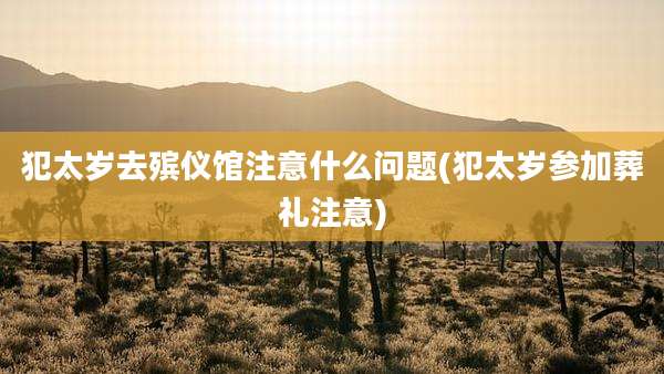犯太岁去殡仪馆注意什么问题(犯太岁参加葬礼注意)