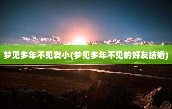 梦见多年不见发小(梦见多年不见的好友结婚)