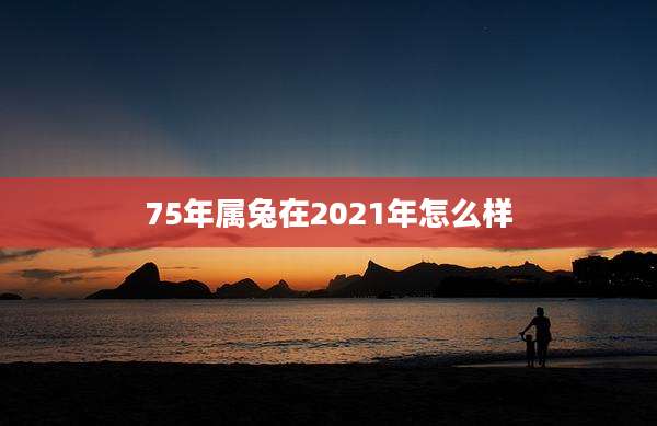 75年属兔在2021年怎么样