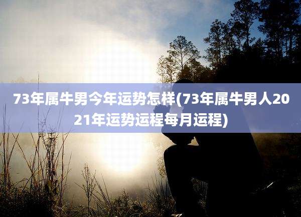 73年属牛男今年运势怎样(73年属牛男人2021年运势运程每月运程)