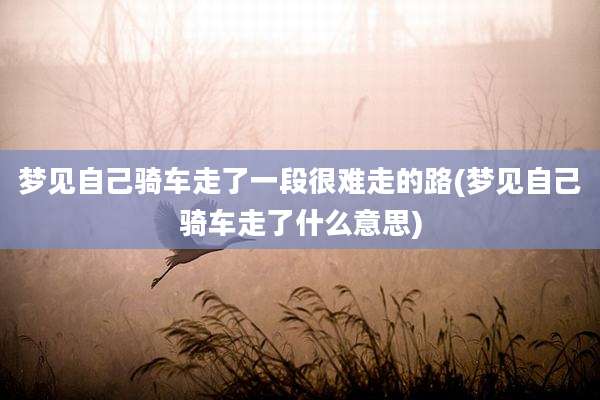 梦见自己骑车走了一段很难走的路(梦见自己骑车走了什么意思)