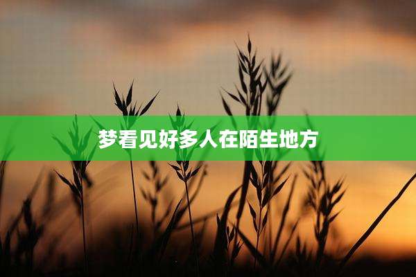 梦看见好多人在陌生地方