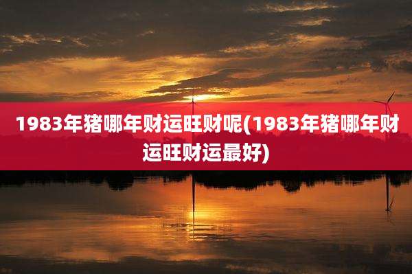 1983年猪哪年财运旺财呢(1983年猪哪年财运旺财运最好)