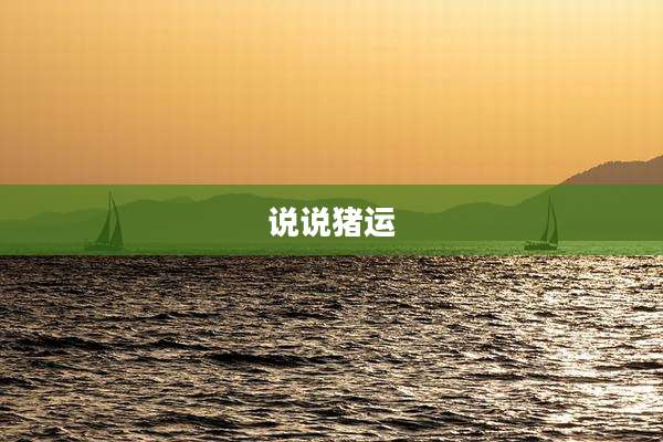 说说猪运