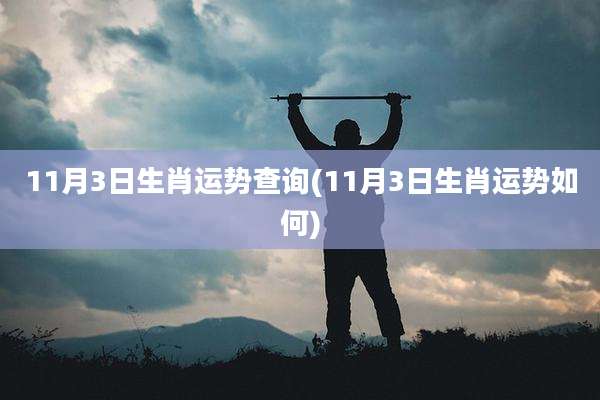 11月3日生肖运势查询(11月3日生肖运势如何)