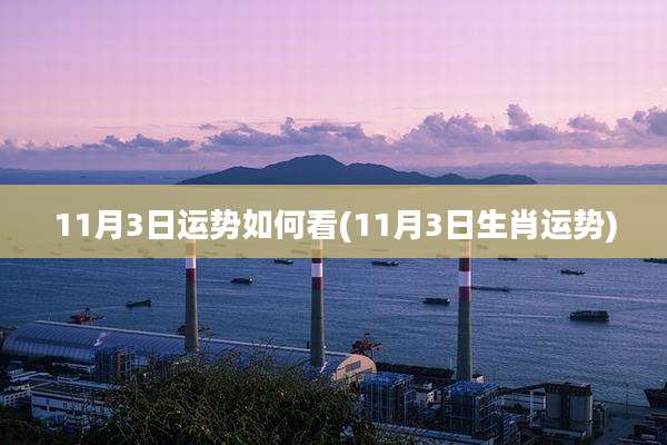 11月3日运势如何看(11月3日生肖运势)
