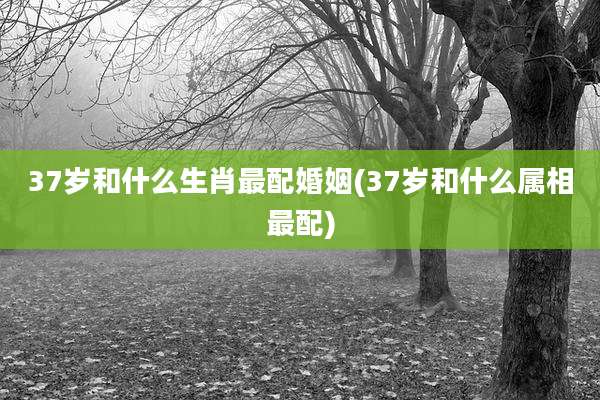 37岁和什么生肖最配婚姻(37岁和什么属相最配)