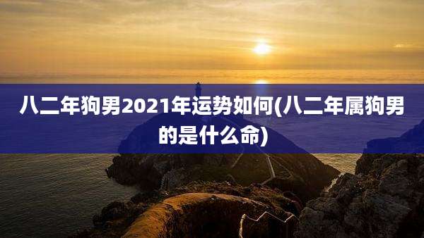 八二年狗男2021年运势如何(八二年属狗男的是什么命)