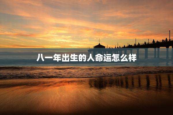 八一年出生的人命运怎么样