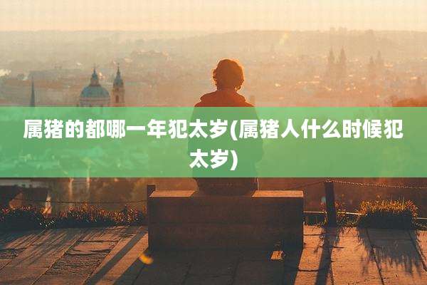 属猪的都哪一年犯太岁(属猪人什么时候犯太岁)