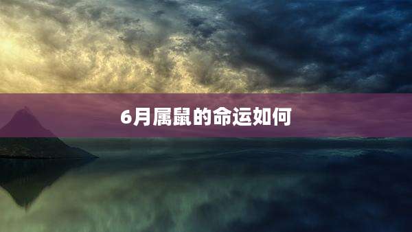 6月属鼠的命运如何