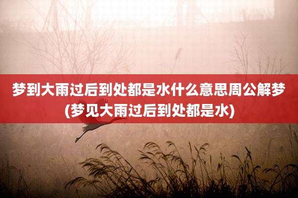 梦到大雨过后到处都是水什么意思周公解梦(梦见大雨过后到处都是水)
