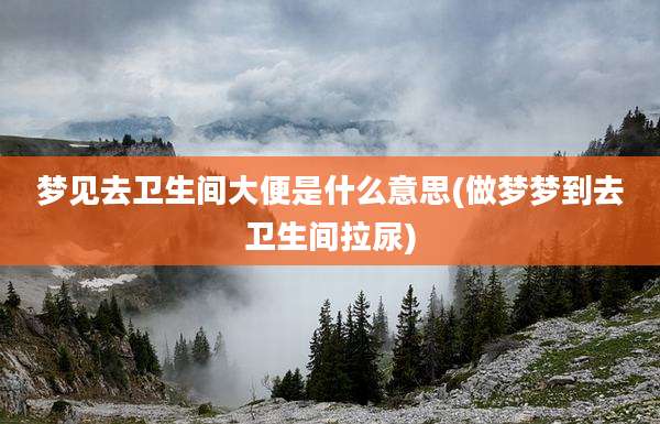 梦见去卫生间大便是什么意思(做梦梦到去卫生间拉尿)