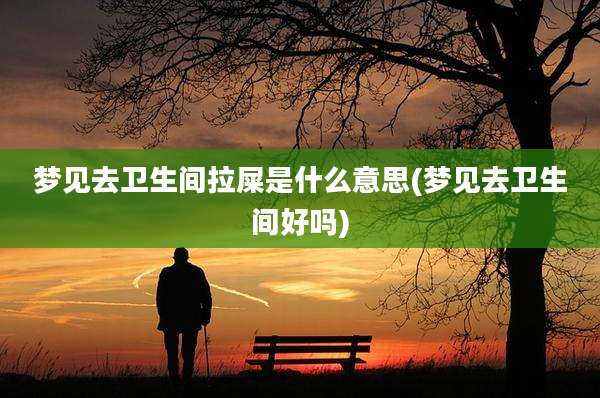 梦见去卫生间拉屎是什么意思(梦见去卫生间好吗)