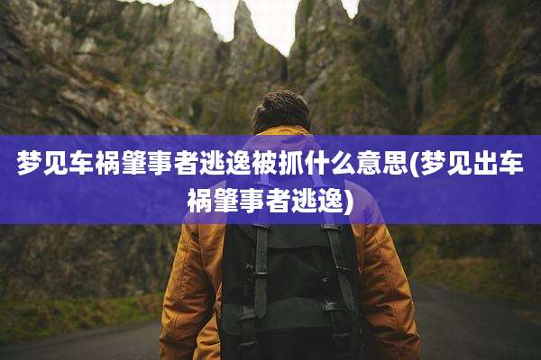 梦见车祸肇事者逃逸被抓什么意思(梦见出车祸肇事者逃逸)