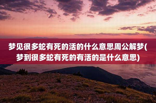 梦见很多蛇有死的活的什么意思周公解梦(梦到很多蛇有死的有活的是什么意思)