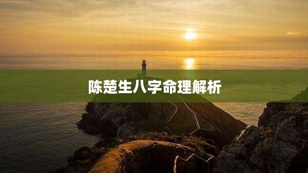 陈楚生八字命理解析