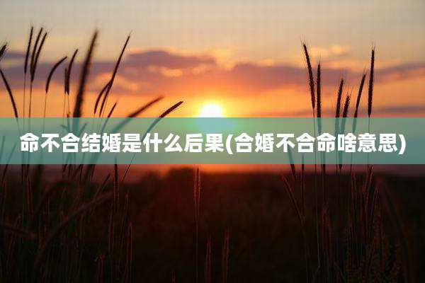命不合结婚是什么后果(合婚不合命啥意思)