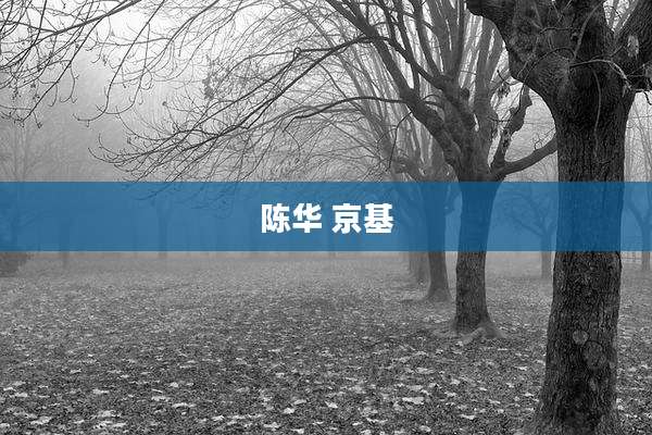 陈华 京基