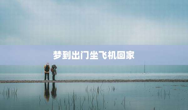 梦到出门坐飞机回家