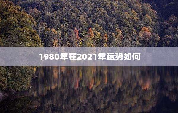 1980年在2021年运势如何