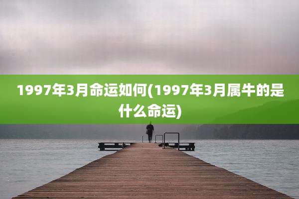 1997年3月命运如何(1997年3月属牛的是什么命运)