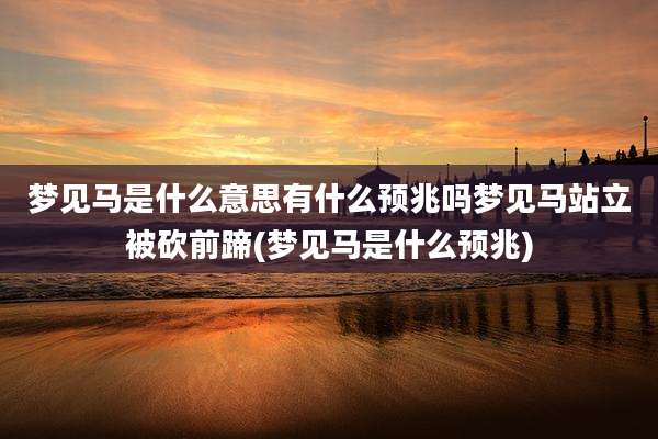 梦见马是什么意思有什么预兆吗梦见马站立被砍前蹄(梦见马是什么预兆)