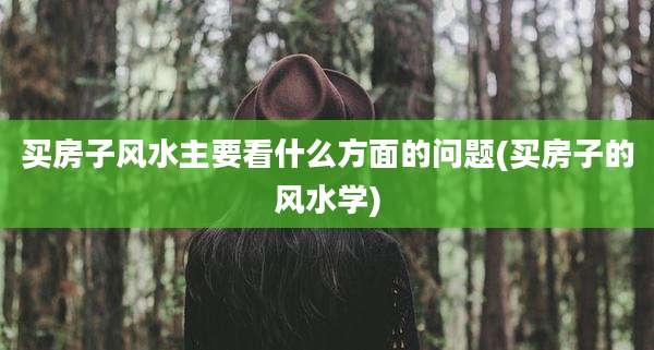 买房子风水主要看什么方面的问题(买房子的风水学)