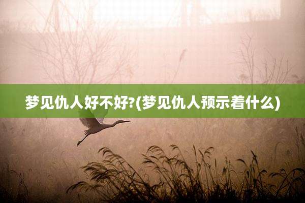 梦见仇人好不好?(梦见仇人预示着什么)