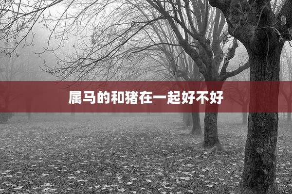 属马的和猪在一起好不好