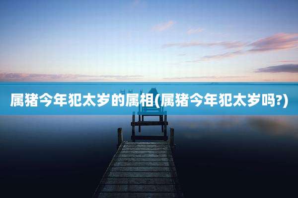 属猪今年犯太岁的属相(属猪今年犯太岁吗?)