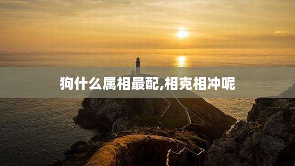 狗什么属相最配,相克相冲呢