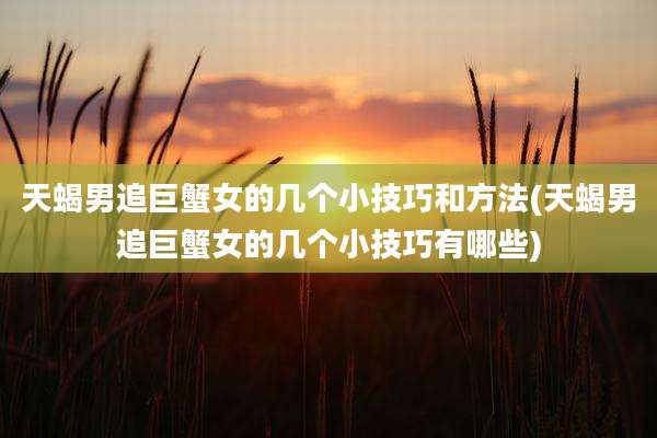 天蝎男追巨蟹女的几个小技巧和方法(天蝎男追巨蟹女的几个小技巧有哪些)