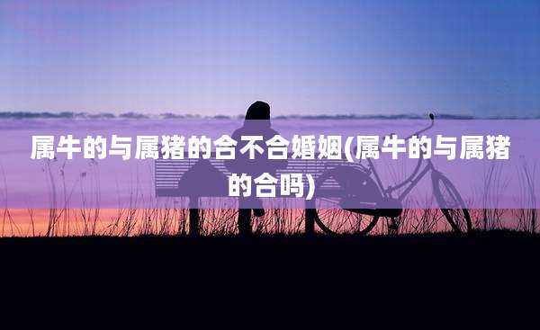 属牛的与属猪的合不合婚姻(属牛的与属猪的合吗)