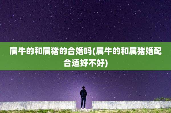 属牛的和属猪的合婚吗(属牛的和属猪婚配合适好不好)