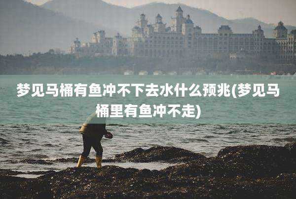 梦见马桶有鱼冲不下去水什么预兆(梦见马桶里有鱼冲不走)