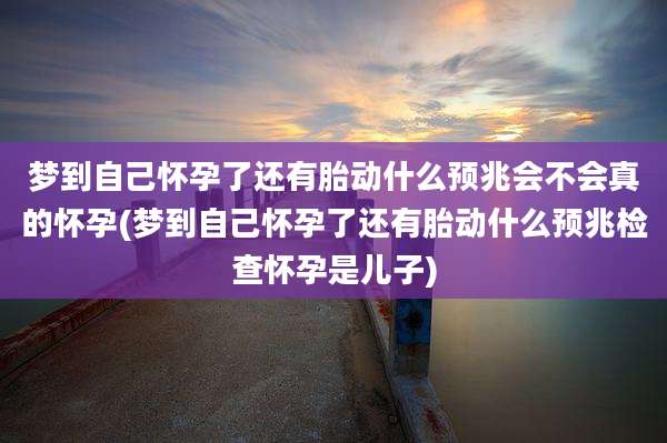 梦到自己怀孕了还有胎动什么预兆会不会真的怀孕(梦到自己怀孕了还有胎动什么预兆检查怀孕是儿子)