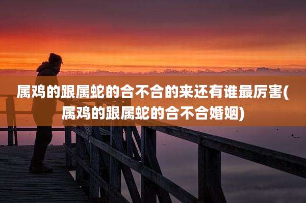 属鸡的跟属蛇的合不合的来还有谁最厉害(属鸡的跟属蛇的合不合婚姻)