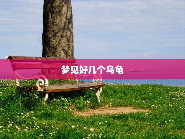 梦见好几个乌龟