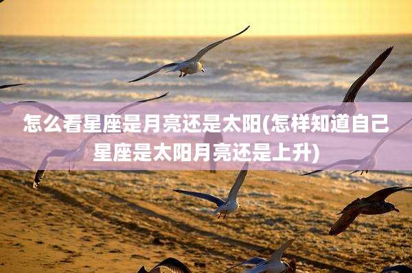 怎么看星座是月亮还是太阳(怎样知道自己星座是太阳月亮还是上升)