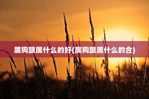 属狗跟属什么的好(属狗跟属什么的合)