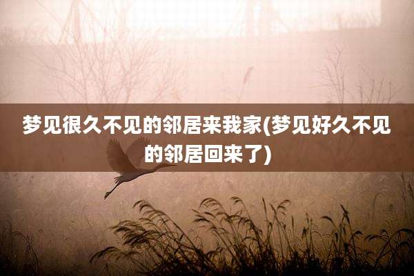 梦见很久不见的邻居来我家(梦见好久不见的邻居回来了)