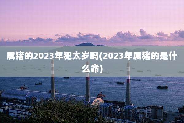 属猪的2023年犯太岁吗(2023年属猪的是什么命)