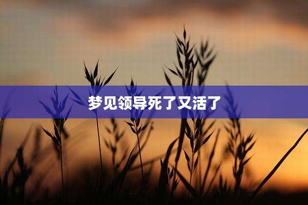 梦见领导死了又活了