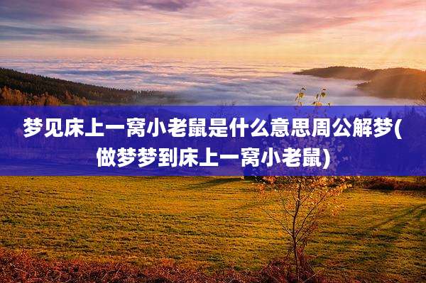 梦见床上一窝小老鼠是什么意思周公解梦(做梦梦到床上一窝小老鼠)