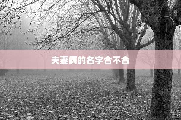 夫妻俩的名字合不合